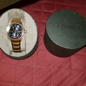 Men's Citizen Eco-Drive Watch